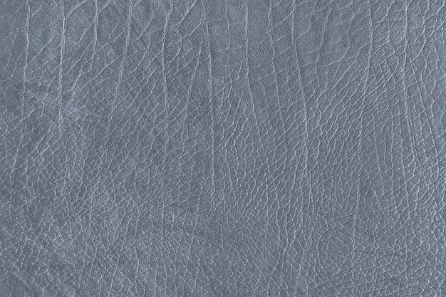 Gray leather grain texture