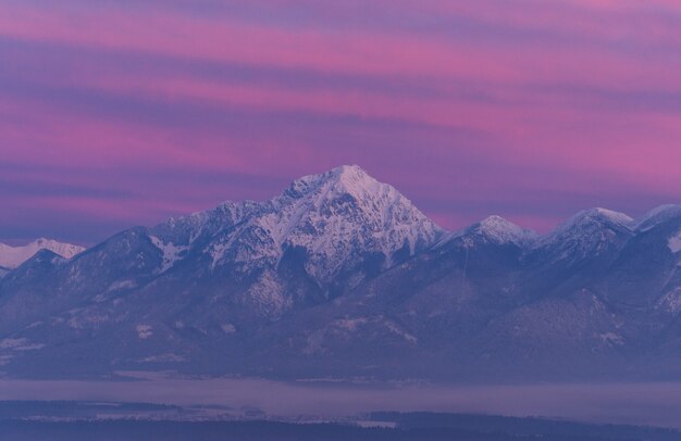 Gray stone mountain covered by snow