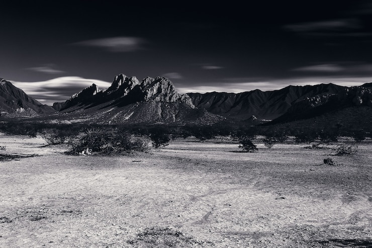 Free Photo grayscale landscape with mountains