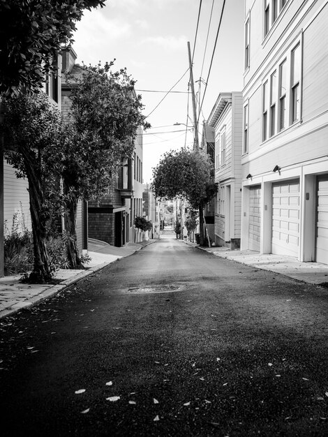 Grayscale photo of an empty street between houses  with a few trees