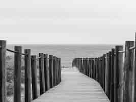 Бесплатное фото Снимок в оттенках серого выровненных деревянных столбов на узкой набережной у берега