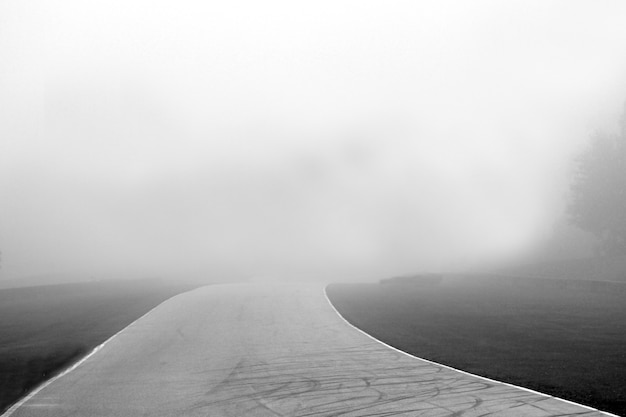 Grayscale shot of a pathway with foggy background