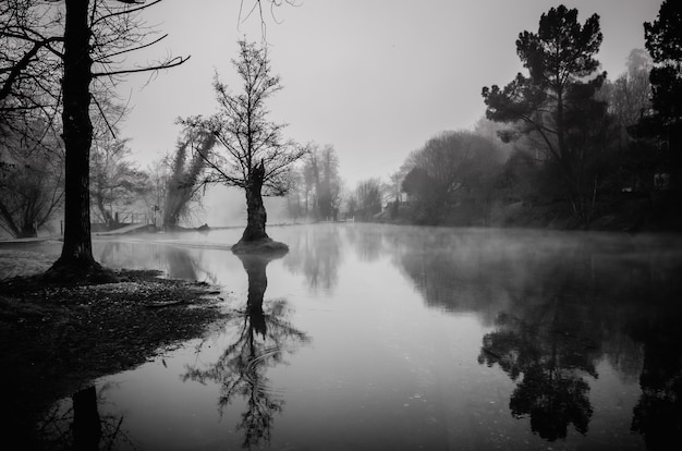 Grayscale shot of a pond rounded by trees in Galicia