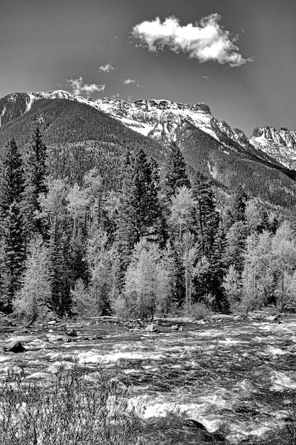 Grayscale shot of a river surrounded by mountains and a lot of trees under a cloudy sky