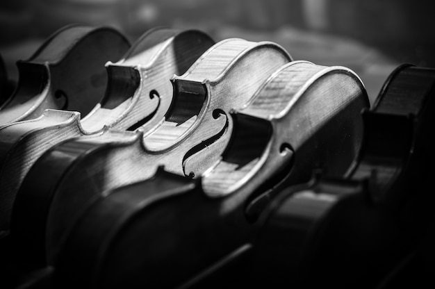 Grayscale shot of various violins aligned on the display of a  musical instrument shop
