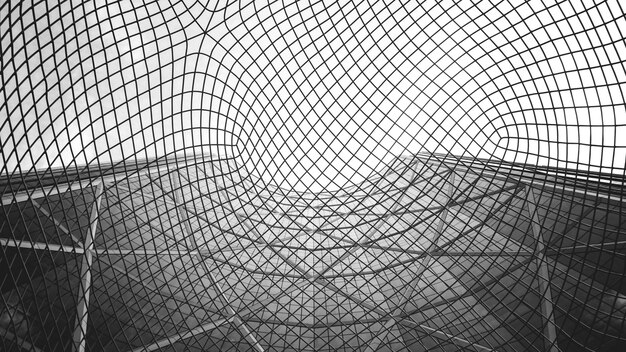 Grayscale view of net structure