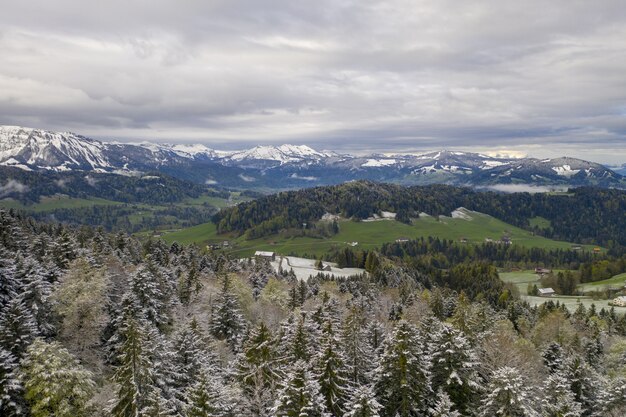 Great view of rolling hills and snow-covered spruce trees