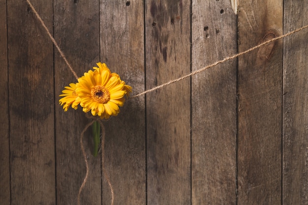 Great wooden background with yellow flowers tied