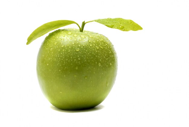 잎이 녹색 사과