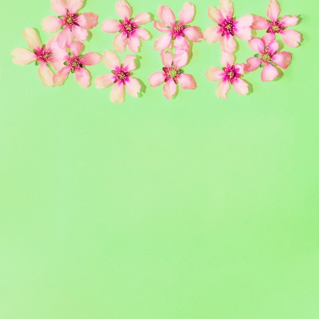 Free photo green background with flowers with copyspace