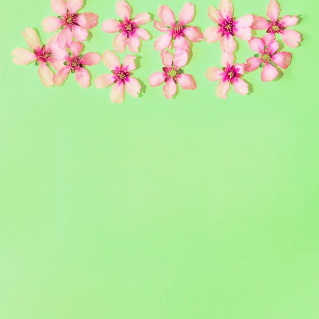 Green background with flowers with copyspace