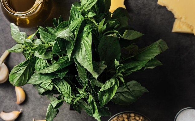 Green basil leaves Ingredients for making pesto sauce on a gray kitchen table Top view spices and herbs