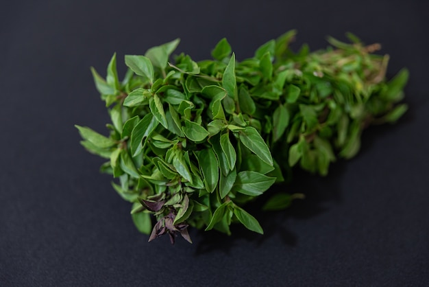 Green basil on the table