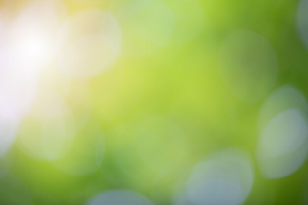 Green bokeh on nature blur background. Element of design.