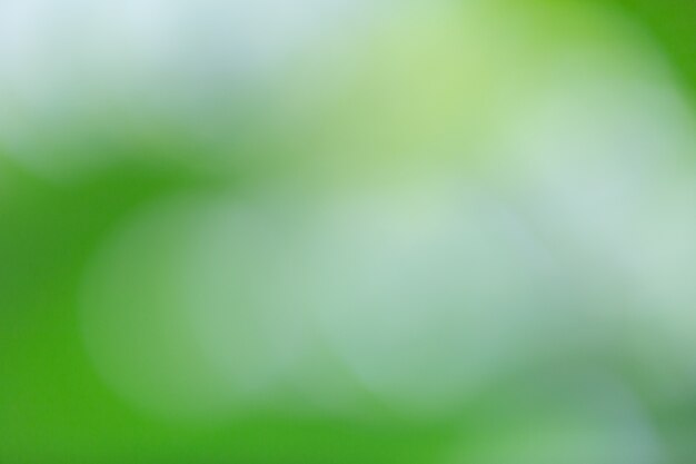 Green bokeh on nature blur. Element of design.