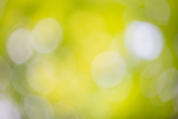 Foto gratuita bokeh verde sulla sfocatura della natura. elemento di design.