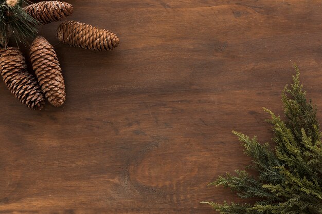 Green branches with big cones on table 