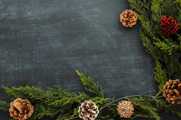 Green branches with small cones