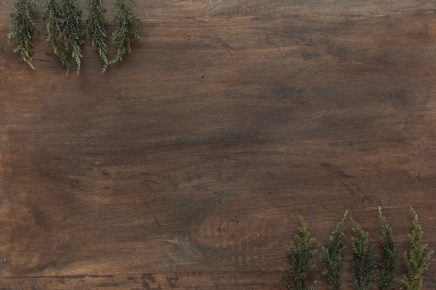 Green branches on wooden table 