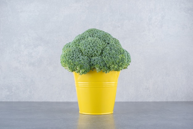 Free photo green broccoli isolated on grey surface