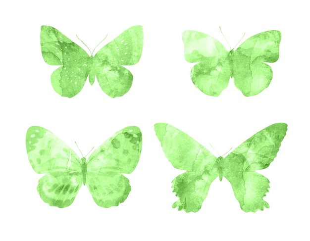 Зеленые бабочки, изолированные на белом фоне. тропические бабочки. насекомые для дизайна. акварельные краски