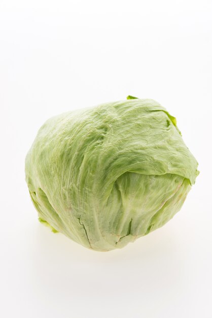 녹색 양배추 머리 양상추 빙산