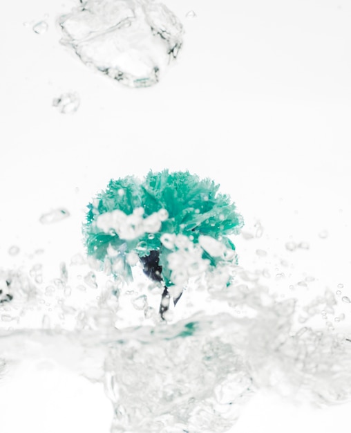 Free photo green carnation falling into water