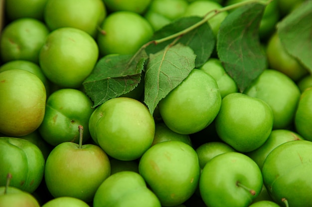 Green cherry plums with green leaves background