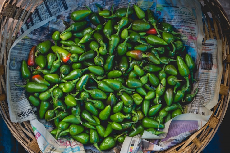 Green chili peppers in a basket