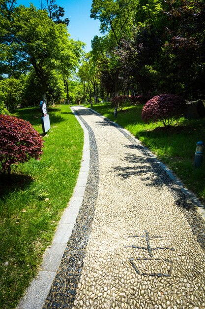 緑の都市公園