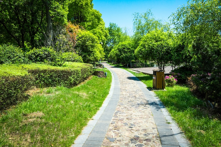 무료 Photo 녹색 도시 공원