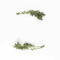 Free photo green coniferous branches on light desk