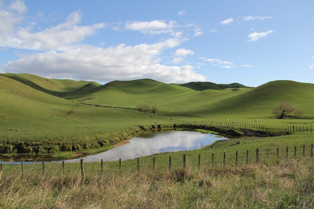 Зеленые холмы с озером недалеко от Хэвлок-Норт, Хокс-Бей, Новая Зеландия