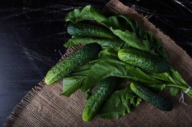 Green cucumbers on plant leaves.