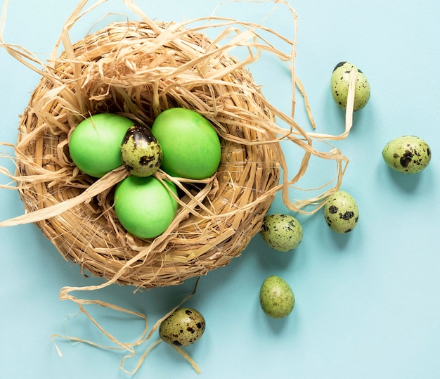Green easter chicken and quail eggs