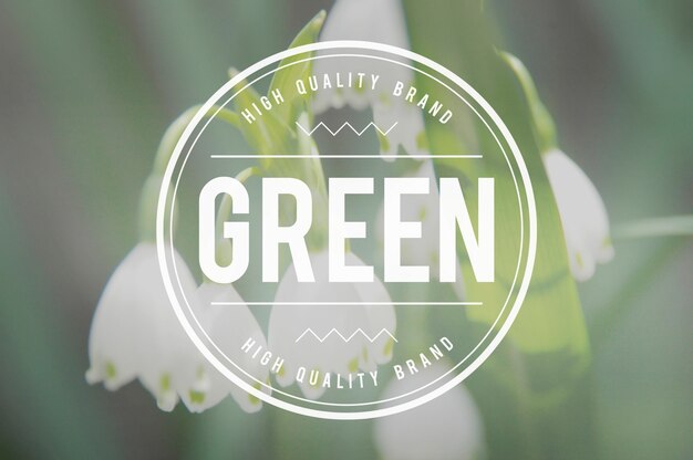 green ecology environmental eco earth concept