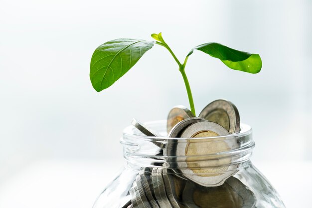 お金と成長している植物とグリーン経済の瓶