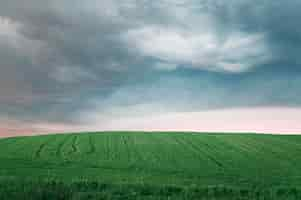 Foto gratuita agricoltura campo verde