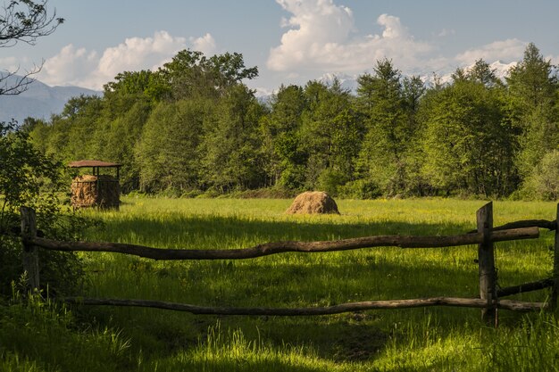 Green farmland behind the wooden fence