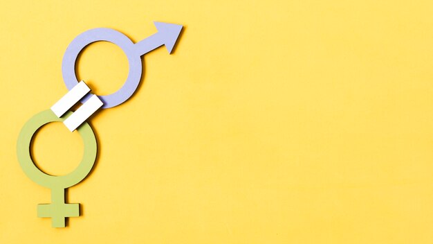 green female and blue male gender symbols quality concept copy space