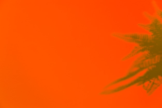 Green fern leaves on an orange backdrop