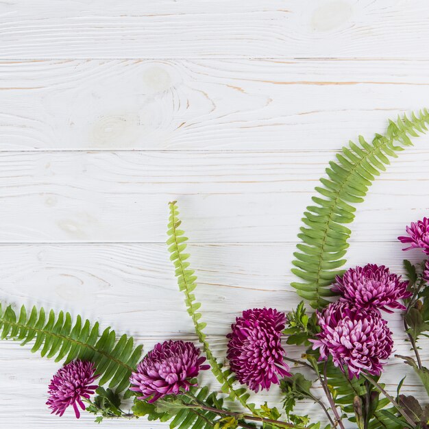 Green fern leaves with purple flowers on table