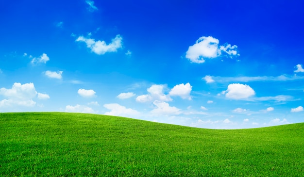 Бесплатное фото Зеленое поле и голубое небо