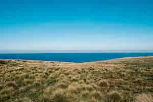 Free photo green field and sea