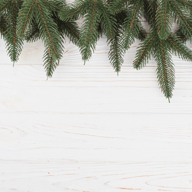 Green fir tree branches on table 