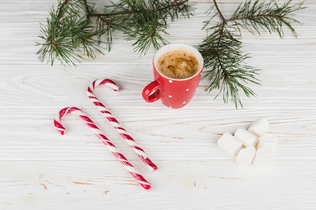 Green fir tree branches with candy canes 