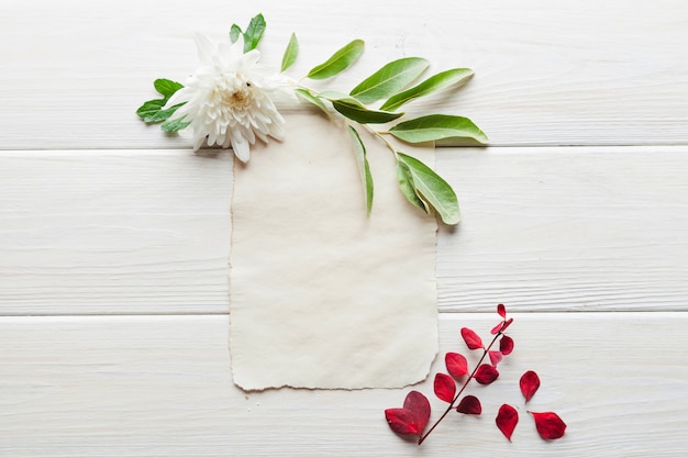 Green floral branches composed around paper