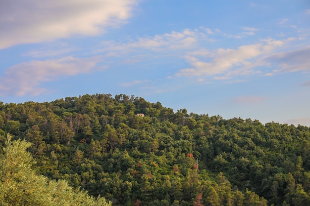 Зеленый лес и голубое закатное небо на острове Скиатос в Греции
