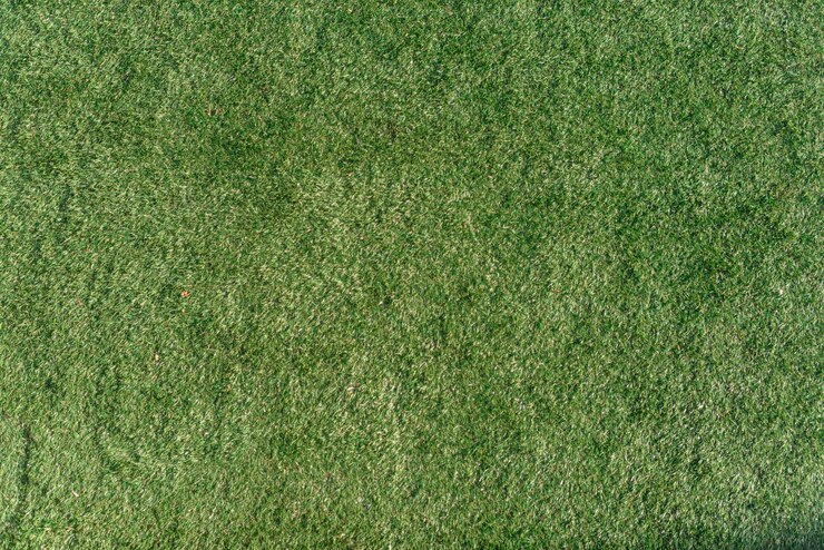 Free Photo green grass background