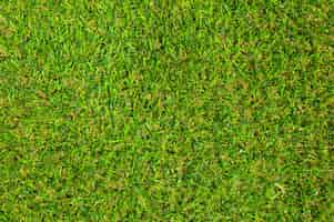 Free photo green grass texture background